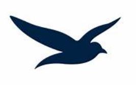 New Mind Psychotherapy Clinic